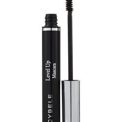 WhatsApp Image 2026-02-19 at 1.29.23 PM