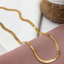 WhatsApp Image 2026-02-19 at 1.40.20 PM